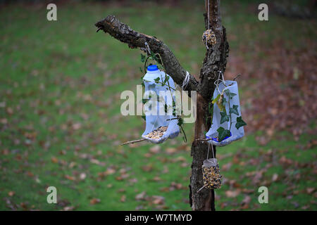 Futterhäuschen im Garten von leeren Plastikflaschen, Norfolk, England, Großbritannien, November 2013. Stockfoto