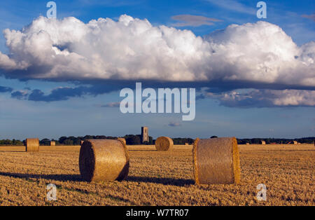 Ballen und Stoppel in Feld, St James Church in der Ferne, Southrepps, Norfolk, UK, September 2013. Stockfoto