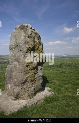 So Stein Megalith auf dem Höhenweg in der Nähe von Barbury Castle, Marlborough Downs, Wiltshire, UK, Mai. Stockfoto
