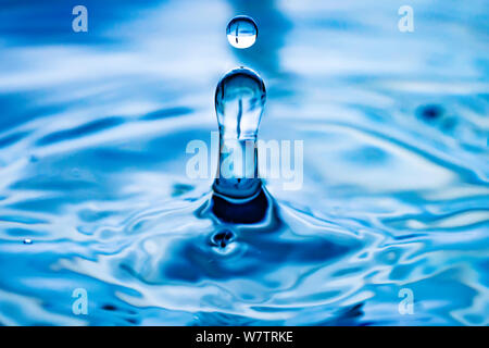 Der runden transparenten Tropfen Wasser, fällt nach unten. Selektive konzentrieren. Stockfoto