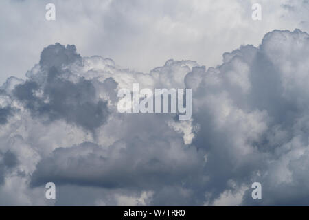 Cumulonimbus calvus, eine Entwicklung von thunderhead Cloud Stockfoto