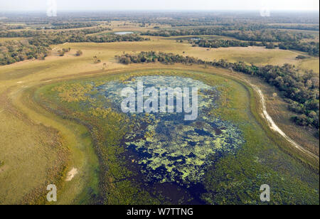 Pantanal Landschaft während der trockenen Jahreszeit, Luftaufnahme, Brasilien, August 2010. Stockfoto