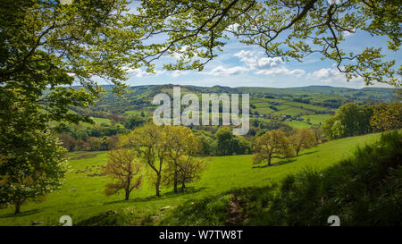 Blick vom Rand der Wälder in der Nähe von Pott Shrigley, Peak District National Park, Cheshire, UK, Mai. Stockfoto