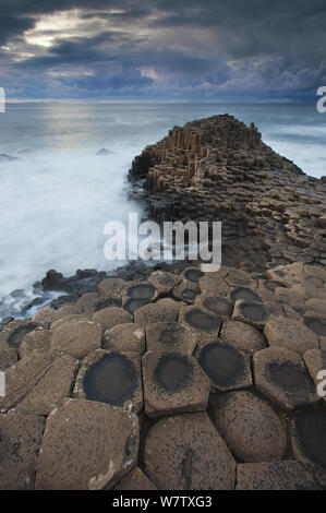 Giant's Causeway, Causeway Coast, County Antrim, Nordirland, Großbritannien, September 2013. Stockfoto