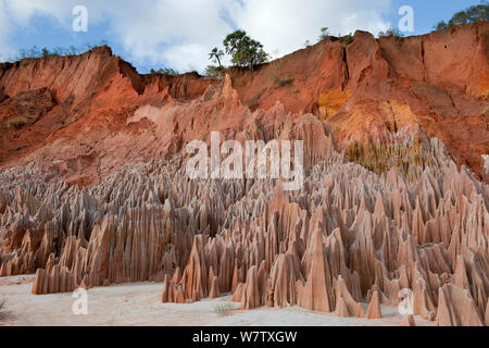 Roten Tsingys - roten Laterit rock Formation, Madagaskar, Juni 2013. Stockfoto