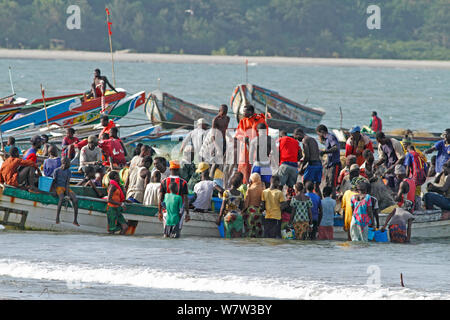 Gambische Frauen kaufen Fisch von den Fischern in bunten Boote am Strand, Gambia, Westafrika, November 2012. Stockfoto