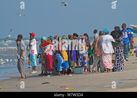 Frauen am Strand für Fischerboote, Tanji Strand, Gambia, Westafrika, November 2012 warten. Stockfoto