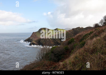 Blick von der Küste von North Devon Pfad in Richtung Rillage Punkt östlich von Ilfracombe, Devon, UK, Dezember 2013. Stockfoto