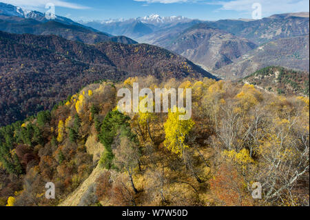 Wald im Tal in der Nähe von teberda Siedlung, Ausläufern des Kaukasus, Karachay-Cherkessia, Russland. Oktober 2013. Stockfoto