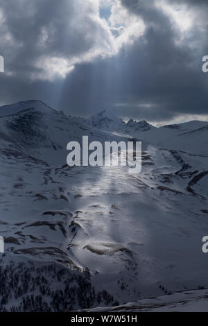 Sonnenlicht durch Wolken auf Schnee, Kavkazsky Zapovednik, West Kaukasus, Russland, Adygea, Februar. Stockfoto