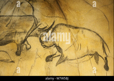 Replik von prähistorischen Höhlenmalereien in der Höhle von Chauvet, mit Woolly Nashörner (Coelodonta antiquitatis), Chauvet-Pont-d&#39;Arc Cave, Ardèche, Frankreich. Stockfoto