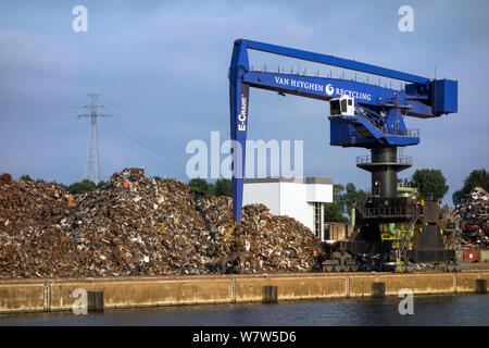 Dock Kran und Haufen Schrott für das Recycling, Hafen von Gent, Belgien, Juli 2013. Stockfoto