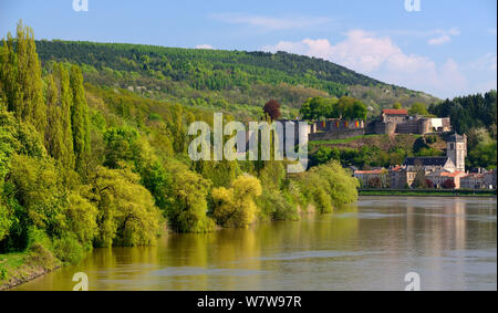 Mosel und Ducs de Lorraine Schloss (12. Jh.) in Sierck-les-Bains, Rhône-Alpes, Frankreich. Mai 2013 Stockfoto