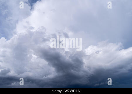 Hoch aufragende Cumulonimbuswolken durch kleinere cumulus Wolken begleitet Stockfoto