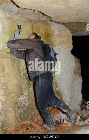 Bat Umfrage Teammitglied erkunden alte Badewanne aus Stein Mine auf der Suche nach Ruhezustand mehr Hufeisennase (Rhinolophus ferrumequinum), Wiltshire, UK, Februar. Model Released. Stockfoto