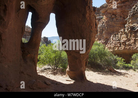 Felsformationen, Höhlen, Cederberg Stadsaal Conservancy, Südafrika, August 2011. Stockfoto