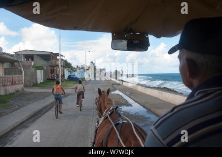 Ansicht von innen Pferdekutschen Taxi mit zwei Radfahrer auf der Straße, Baracoa, Provinz Guantánamo, Kuba, November 2011. Stockfoto