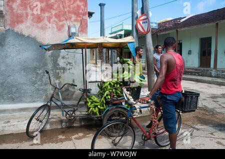 Banane, Knoblauch und Zwiebel Verkäufern auf einer Straße Ecke, Baracoa, Provinz Guantánamo, Kuba, November 2011. Stockfoto