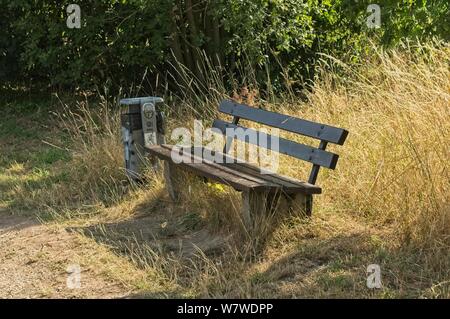 Holzbank in der Grünen Stockfoto