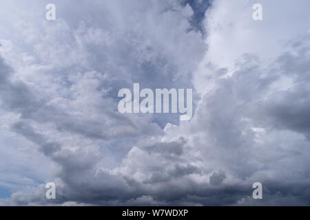 Hoch aufragende Cumulonimbuswolken durch kleinere cumulus Wolken begleitet Stockfoto