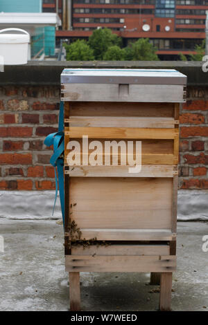 Bienenstock auf dem Dach des Manchester Museum, Manchester, UK, Juni 2014. Stockfoto