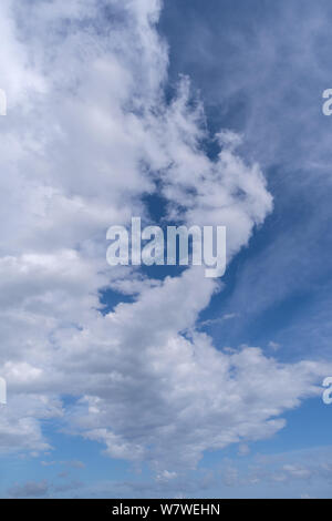 Hoch aufragende Cumulonimbuswolken durch kleinere cumulus Wolken begleitet Stockfoto