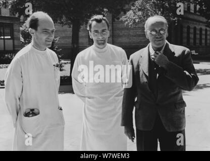 Professor Ferdinand Sauerbruch (rechts) mit Kollegen an der Charite in Berlin, Deutschland. 1935. Deutsche Chirurgen Ferdinand Sauerbruch (rechts) mit zwei Kollegen an der Berliner Charite, Deutschland Ca. 1935. Stockfoto