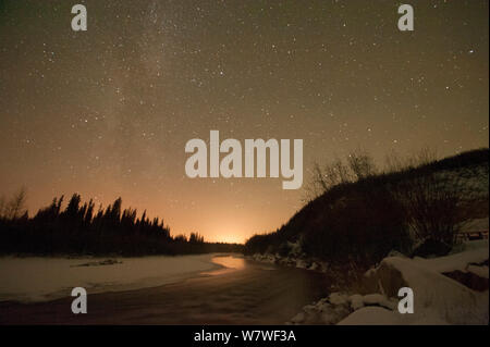 Nordlichter (Aurora Borealis) hell leuchtenden über dem Chena River Chena River State Naherholungsgebiet, außerhalb von Fairbanks, Alaska, November Stockfoto