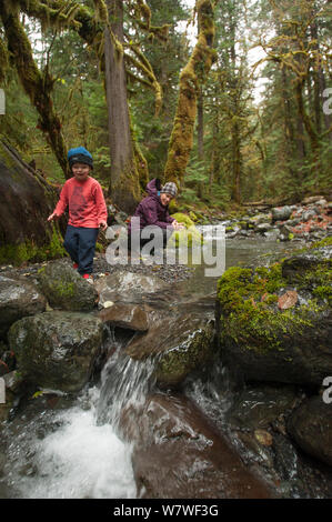 Kleinkind junge Schwimmer Blätter an einem Bach im Regenwald mit seiner Mutter, North Fork Skokomish River, Olympic Peninsula, süd-östlich Olympic National Park, Washington, USA, November 2013. Model Released. Stockfoto