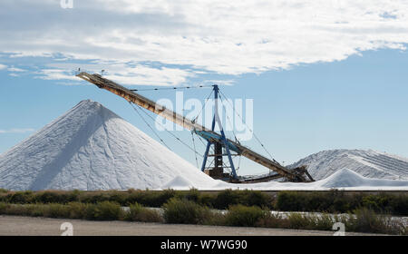 Lager von Salz und Ausrüstung, Aigues-Mortes Salinen, Camargue, Frankreich, September 2013. Stockfoto