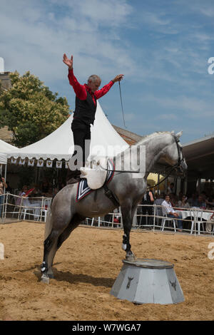 Man Balancieren auf Pferde zurück zu reiten Mejanes Horse Fair-Feria Cheval Mejanes, einem 1000 Jahre alten Pferd zeigen, Mejanes, Camargue, Frankreich, Juli 2013 Stockfoto