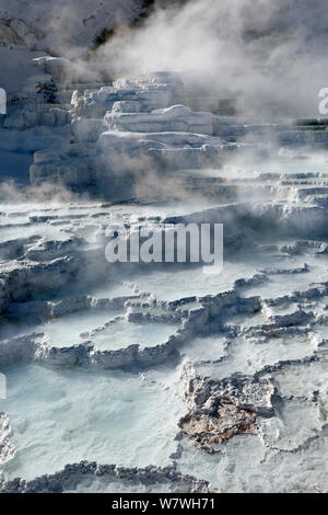 Untere Travertin Terrassen im Schnee, Mammoth Hot Springs, Yellowstone National Park, Wyoming, USA, Januar 2014. Stockfoto