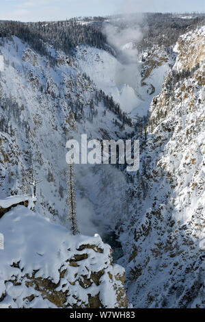 Grand Canyon im Yellowstone im Schnee mit Dampf stieg von Wasserfall, vom Artist Point, Yellowstone National Park, Wyoming, USA, Februar 2014 gesehen. Stockfoto