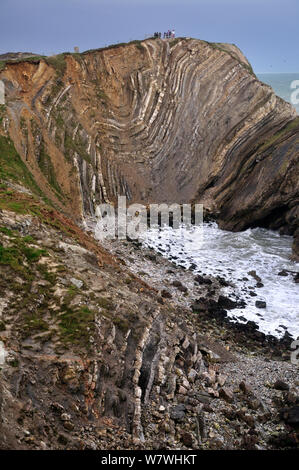 Gefaltete Schichten als Lulworth Knautschzonen, Treppe Loch, Lulworth, Jurassic Coast, Dorset, Großbritannien März 2013 bekannt. Stockfoto