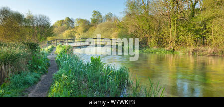 Blick auf den Fluss Itchen an Ovington, Hampshire, England, UK, Mai 2012. Stockfoto