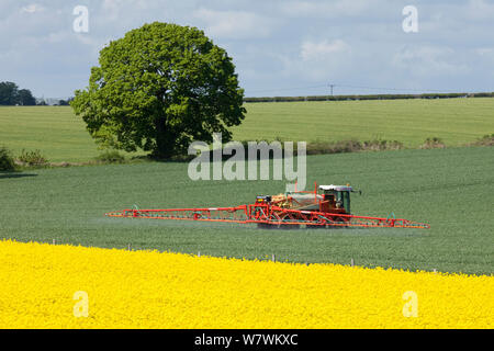 Feldspritze arbeiten in einem landwirtschaftlichen Gebiet, Moor Crichel, Dorset, England, UK, Mai 2012. Stockfoto