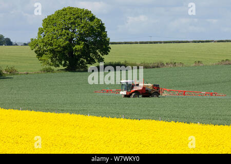 Feldspritze arbeiten in einem landwirtschaftlichen Gebiet, Moor Crichel, Dorset, England, UK, Mai 2012. Stockfoto