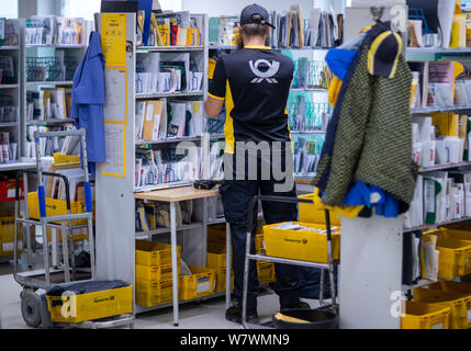 Wittenburg, Deutschland. 07 Aug, 2019. Briefträger sortieren die Sendungen für Ihre Touren zusammen im Paket Deutsche Post Lieferung. Credit: Jens Büttner/dpa-Zentralbild/ZB/dpa/Alamy leben Nachrichten Stockfoto