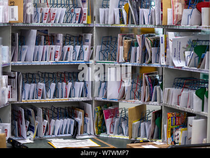 Wittenburg, Deutschland. 07 Aug, 2019. Briefträger sortieren die Sendungen für Ihre Touren zusammen im Paket Deutsche Post Lieferung. Credit: Jens Büttner/dpa-Zentralbild/ZB/dpa/Alamy leben Nachrichten Stockfoto