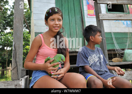 Kinder von Boca do Mamiraua Dorf mit pet-festliche Papagei (Amazona festiva) an Mamiraua Nachhaltige Entwicklung finden, Alvaraes, Amazonas, nördlichen Brasilien, Oktober 2012. Stockfoto