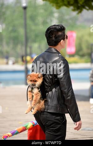 Ein chinesischer Mann verwendet einen "baby Sling' seinen Hund zu unterstützen, während er während einer Buchmesse in Huaian Stadt hängt in der ostchinesischen Provinz Jiangsu, 23. April Stockfoto