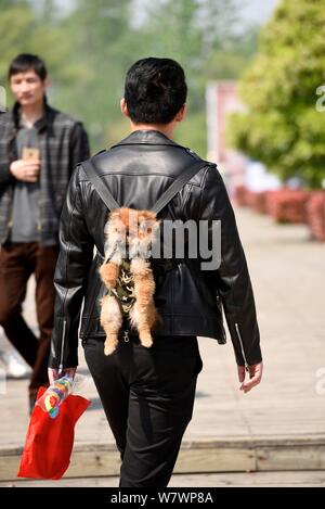 Ein chinesischer Mann verwendet einen "baby Sling' seinen Hund zu unterstützen, während er während einer Buchmesse in Huaian Stadt hängt in der ostchinesischen Provinz Jiangsu, 23. April Stockfoto