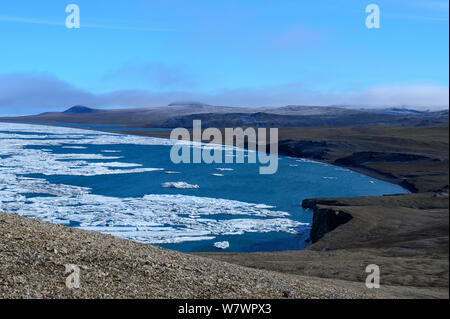 - Packeis und Küstenlinie von Wrangel Insel, fernöstlichen Russland, August 2012. Stockfoto