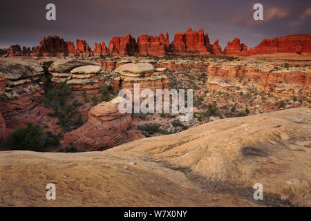 Dawn bei Elephant Canyon, Nadeln, Canyonlands National Park, Utah, Colorado Plateau, April 2010. Stockfoto