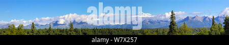 Panorama der Alaska Range mit Mt. McKinley von den Parks Highway, Alaska, USA, Juli 2012 berücksichtigt. Stockfoto