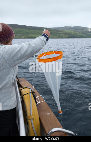 Wissenschaftler mit Plankton net marine Fauna zu überblicken. Isle of Mull, Schottland, Großbritannien, Juni 2013. Stockfoto