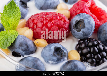 Natürliche griechischer Joghurt und wild forrest Beeren, Ansicht von oben, makroaufnahme Stockfoto