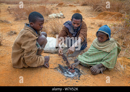 Wanderheuschrecken (Locusta migratoria capito) geröstet und durch einen Landwirt und seine Söhne gegessen. In der Nähe von Isalo Nationalpark, Madagaskar. August 2013. Stockfoto
