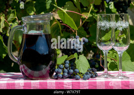 Glaskanne mit Rotwein und ein paar leere Weinglas auf den Tisch. Wein in eine Karaffe mit reifen Trauben von einem Weinberg im Hintergrund. Stockfoto