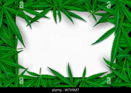 Marihuana Cannabis leaf Abbildungen auf dunklem Hintergrund, schöner Hintergrund, obere Ecke Bild Stockfoto